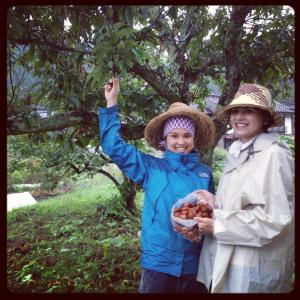 1231672_240167126131052_1948975941_n