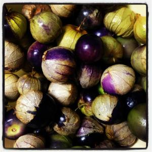 1186081_240223469458751_324743574_n