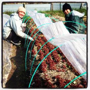 576642_264448133702951_1547176000_n