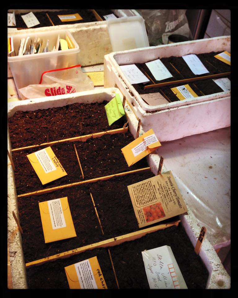 12803308_592887050859056_6855839634796518845_n