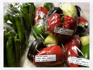 14102437_671469483000812_4569010224098244907_n