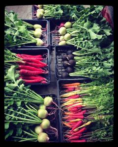 14915542_713163462164747_4308235793891769580_n