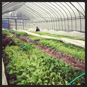 14993511_713794832101610_8149193350138392271_n