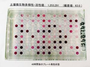 17078171_1347438201997167_1772376285_n